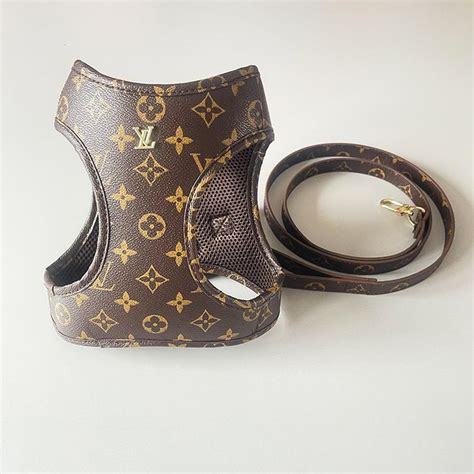 lv dog harness and leash